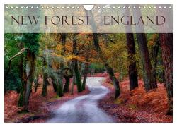 New Forest – England (Wandkalender 2024 DIN A4 quer), CALVENDO Monatskalender von Kruse,  Joana