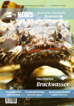 News Bookazine Nr.10 (Frühjahr 2021) von Schäfer,  Frank