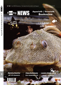 NEWS Bookazine Nr. 9 (Herbst 2020) von Schäfer,  Frank