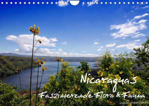 Nicaraguas faszinierende Flora & Fauna (Wandkalender 2023 DIN A4 quer) von Danica Krunic,  Dr.