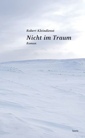 Nicht im Traum von Kleindienst,  Robert