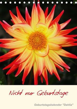 Nicht nur Geburtstage – Geburtstagskalender „Dahlia“ (Tischkalender immerwährend DIN A5 hoch) von Kruit,  Arie