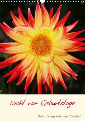 Nicht nur Geburtstage – Geburtstagskalender „Dahlia“ (Wandkalender immerwährend DIN A3 hoch) von Kruit,  Arie