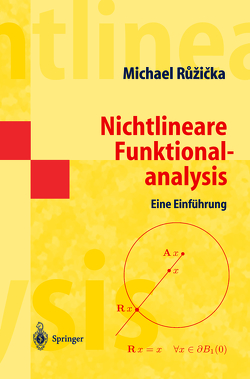 Nichtlineare Funktionalanalysis von Ruzicka,  Michael