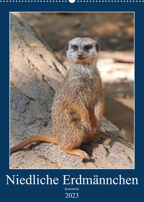 Niedliche Erdmännchen (Wandkalender 2023 DIN A2 hoch) von kattobello