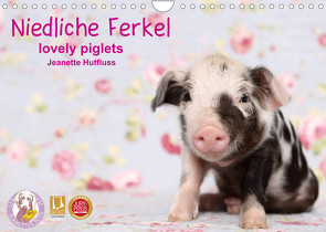 Niedliche Ferkel lovely piglets 2022 (Wandkalender 2022 DIN A4 quer) von Hutfluss,  Jeanette