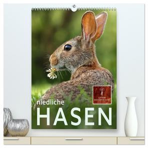 Niedliche Hasen (hochwertiger Premium Wandkalender 2024 DIN A2 hoch), Kunstdruck in Hochglanz von Roder,  Peter