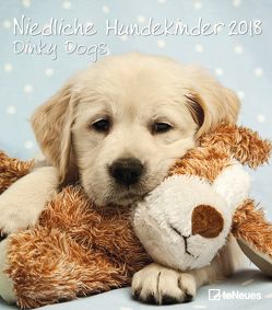 Niedliche Hundekinder 2018