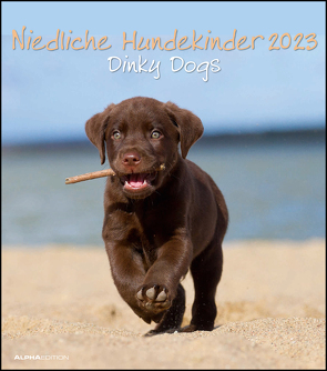 Niedliche Hundekinder 2023 – Wand-Kalender – Tier-Kalender – 30×34