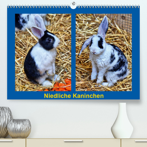 Niedliche Kaninchen (Premium, hochwertiger DIN A2 Wandkalender 2021, Kunstdruck in Hochglanz) von kattobello