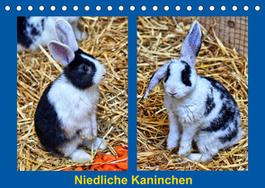 Niedliche Kaninchen (Tischkalender 2023 DIN A5 quer) von kattobello