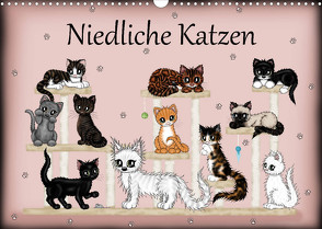 Niedliche Katzen (Wandkalender 2022 DIN A3 quer) von Creation / Petra Haberhauer,  Pezi