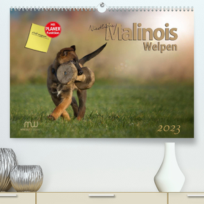 Niedliche Malinois Welpen (Premium, hochwertiger DIN A2 Wandkalender 2023, Kunstdruck in Hochglanz) von Wrede,  Martina