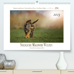 Niedliche Malinois Welpen (Premium, hochwertiger DIN A2 Wandkalender 2023, Kunstdruck in Hochglanz) von Wrede,  Martina