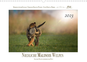 Niedliche Malinois Welpen (Wandkalender 2023 DIN A3 quer) von Wrede,  Martina