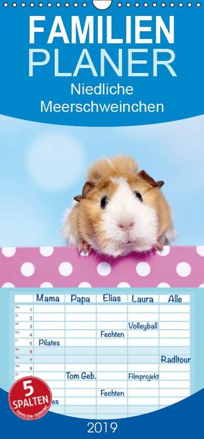 Niedliche Meerschweinchen – Familienplaner hoch (Wandkalender 2019 <strong>21 cm x 45 cm</strong> hoch) von Hutfluss,  Jeanette