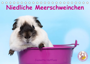 Niedliche Meerschweinchen (Tischkalender 2023 DIN A5 quer) von Hutfluss,  Jeanette
