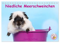 Niedliche Meerschweinchen (Tischkalender 2024 DIN A5 quer), CALVENDO Monatskalender von Hutfluss,  Jeanette