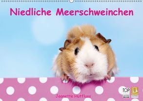 Niedliche Meerschweinchen (Wandkalender 2019 DIN A2 quer) von Hutfluss,  Jeanette