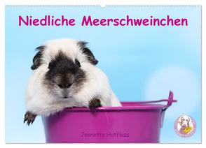 Niedliche Meerschweinchen (Wandkalender 2024 DIN A2 quer), CALVENDO Monatskalender von Hutfluss,  Jeanette