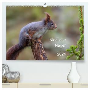 Niedliche Nager (hochwertiger Premium Wandkalender 2024 DIN A2 quer), Kunstdruck in Hochglanz von Oldani,  Dorothea