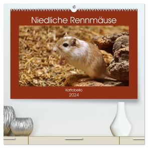 Niedliche Rennmäuse (hochwertiger Premium Wandkalender 2024 DIN A2 quer), Kunstdruck in Hochglanz von Kattobello,  Kattobello