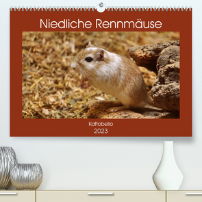 Niedliche Rennmäuse (Premium, hochwertiger DIN A2 Wandkalender 2023, Kunstdruck in Hochglanz) von kattobello