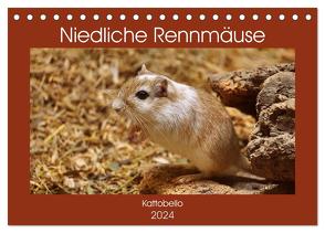 Niedliche Rennmäuse (Tischkalender 2024 DIN A5 quer), CALVENDO Monatskalender von Kattobello,  Kattobello