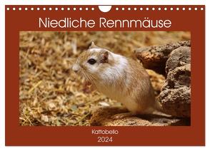 Niedliche Rennmäuse (Wandkalender 2024 DIN A4 quer), CALVENDO Monatskalender von Kattobello,  Kattobello