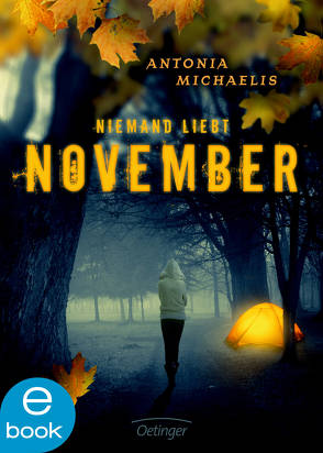 Niemand liebt November von Michaelis,  Antonia, Schüler,  Kathrin