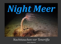 Night Meer von Majewski,  Martin