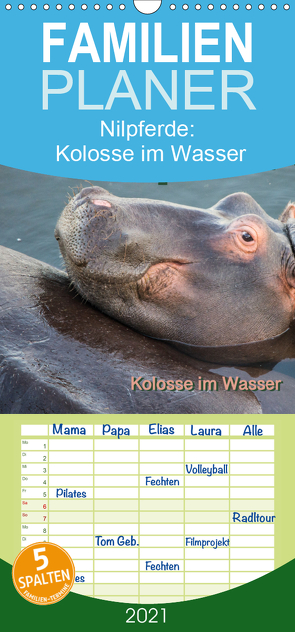 Nilpferde, Kolosse im Wasser – Familienplaner hoch (Wandkalender 2021 , 21 cm x 45 cm, hoch) von und Andrea Styppa,  Robert