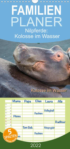 Familienplaner Nilpferde, Kolosse im Wasser (Wandkalender 2022 , 21 cm x 45 cm, hoch) von und Andrea Styppa,  Robert