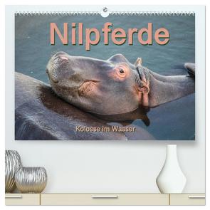 Nilpferde, Kolosse im Wasser (hochwertiger Premium Wandkalender 2024 DIN A2 quer), Kunstdruck in Hochglanz von und Andrea Styppa,  Robert