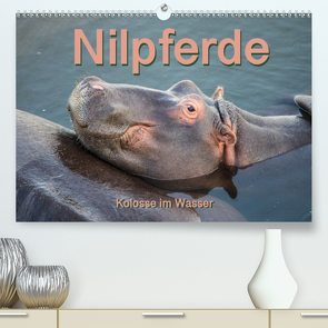 Nilpferde, Kolosse im Wasser (Premium, hochwertiger DIN A2 Wandkalender 2021, Kunstdruck in Hochglanz) von und Andrea Styppa,  Robert