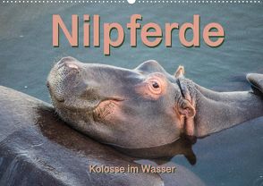 Nilpferde, Kolosse im Wasser (Premium, hochwertiger DIN A2 Wandkalender 2022, Kunstdruck in Hochglanz) von und Andrea Styppa,  Robert