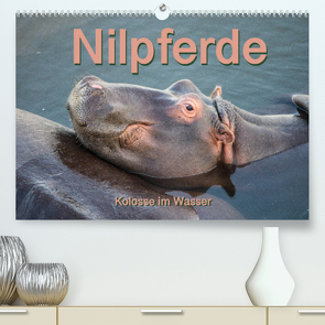 Nilpferde, Kolosse im Wasser (Premium, hochwertiger DIN A2 Wandkalender 2023, Kunstdruck in Hochglanz) von und Andrea Styppa,  Robert