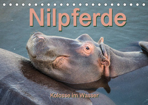 Nilpferde, Kolosse im Wasser (Tischkalender 2023 DIN A5 quer) von und Andrea Styppa,  Robert