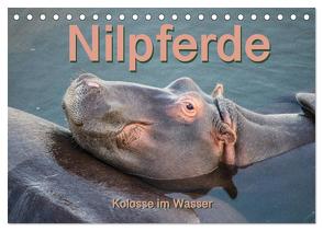 Nilpferde, Kolosse im Wasser (Tischkalender 2024 DIN A5 quer), CALVENDO Monatskalender von und Andrea Styppa,  Robert