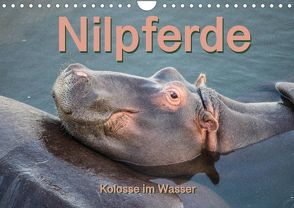 Nilpferde, Kolosse im Wasser (Wandkalender 2022 DIN A4 quer) von und Andrea Styppa,  Robert