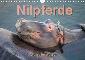 Nilpferde, Kolosse im Wasser (Wandkalender 2023 DIN A4 quer) von und Andrea Styppa,  Robert