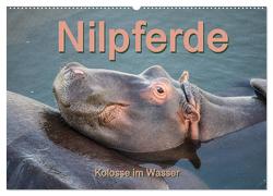 Nilpferde, Kolosse im Wasser (Wandkalender 2024 DIN A2 quer), CALVENDO Monatskalender von und Andrea Styppa,  Robert