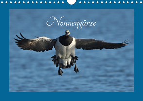 Nonnengänse (Wandkalender 2021 DIN A4 quer) von Weiß,  Elmar