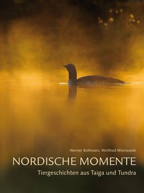 Nordische Momente von Bollmann,  Werner, Widstrand,  Staffan, Wisniewski,  Winfried