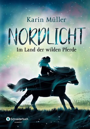 Nordlicht, Band 01 von Mueller,  Karin