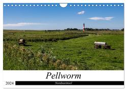Nordseeinsel Pellworm 2024 (Wandkalender 2024 DIN A4 quer), CALVENDO Monatskalender von Kötzsch,  Beate