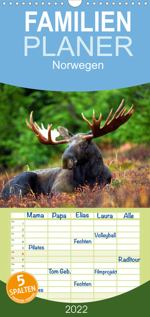 Familienplaner Norwegen (Wandkalender 2022 , 21 cm x 45 cm, hoch) von Stanzer,  Elisabeth