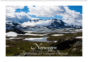 Norwegen, Faszination der zentralen Bergwelt (Wandkalender 2020 DIN A2 quer) von Hild,  Margitta