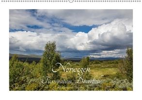 Norwegen – Faszination Dovrefjell und angrenzende Fjellgebiete (Wandkalender 2018 DIN A2 quer) von Hild,  Margitta, www.fotopia-hild.de