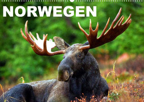 Norwegen (Wandkalender 2023 DIN A2 quer) von Stanzer,  Elisabeth